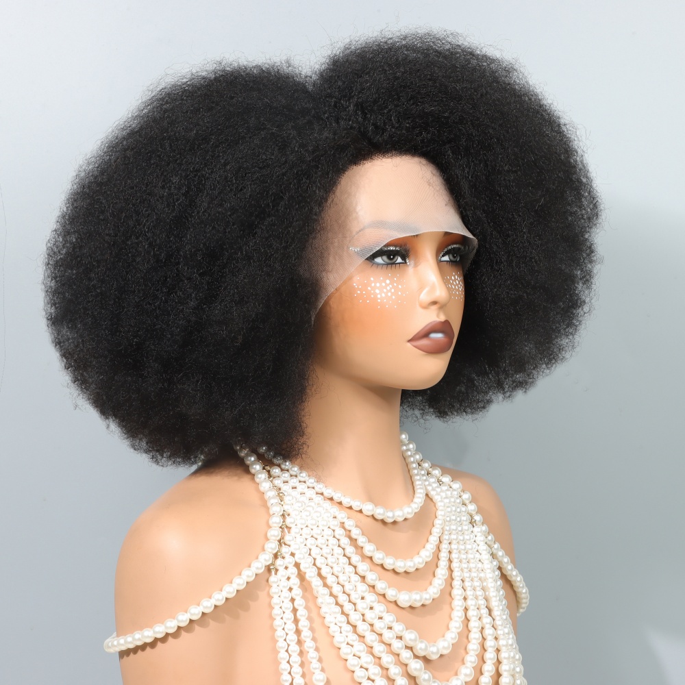 Glueless Wear And Go Human Hair Wig - 14インチのアフロウィッグ、黒人女性用縮れ毛カーリーレースフロントウィッグ、アフロショートボブ人毛ウィッグ、レースナチュラルヘアライン、密度250%